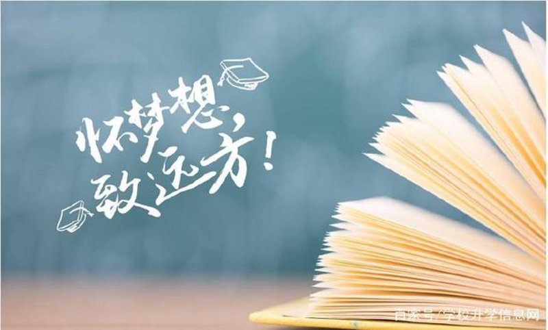 深圳市别太含蓄教育有限公司:引领未来教育新风向